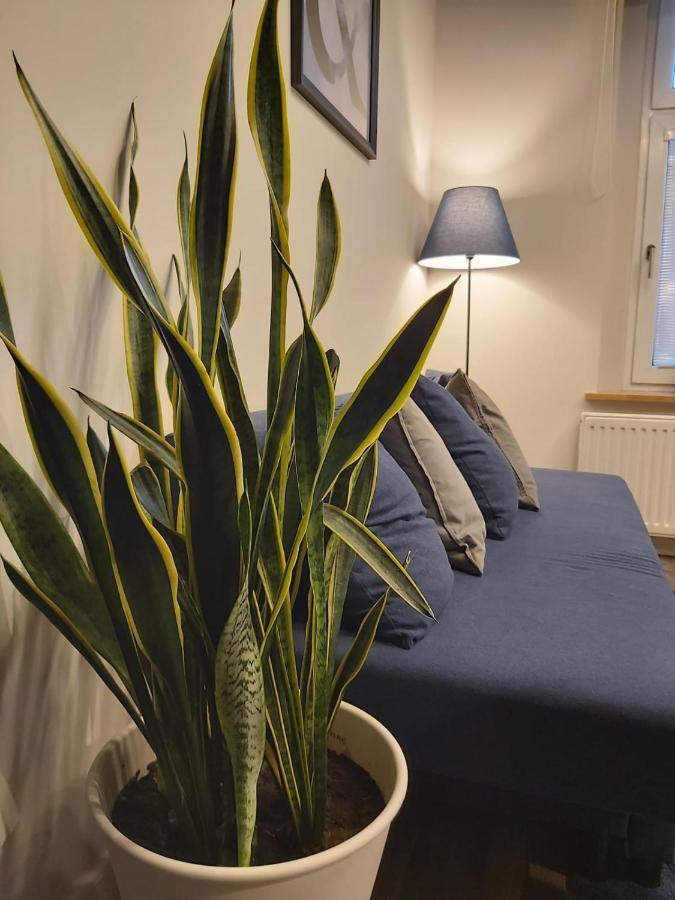 Apartament Na Wyspie Opole Extérieur photo